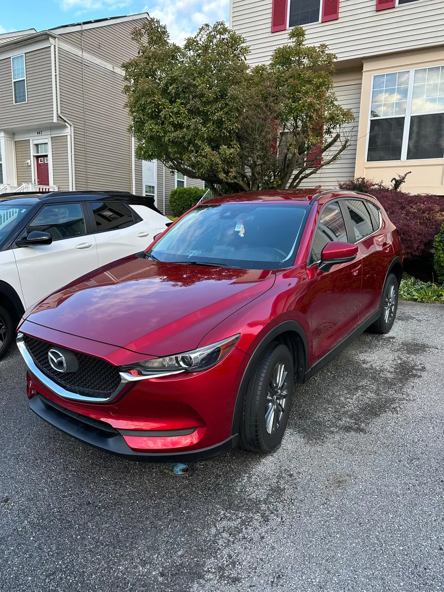 Auto Cure mobile detailing work